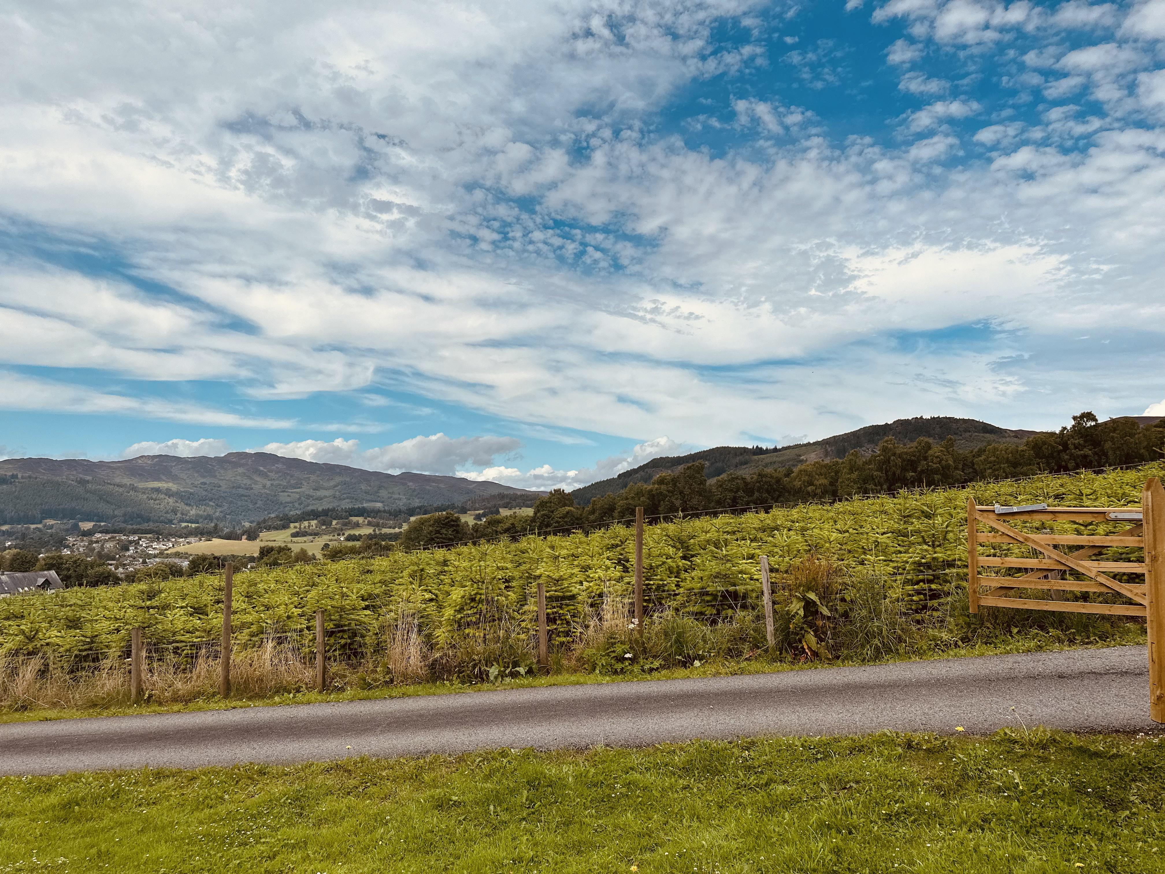 Kinnaird Woodland Lodges Питлохри Экстерьер фото